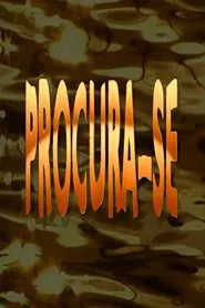Poster da série Procura-se