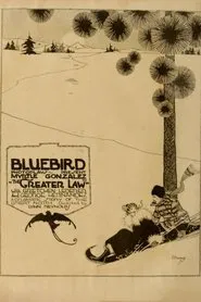 The Greater Law movie poster
