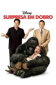 Poster do filme Surpresa em Dobro