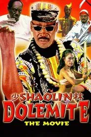 Poster do filme Shaolin Dolemite