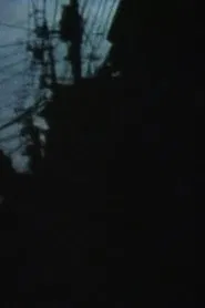 Incorrect Intermittence movie poster