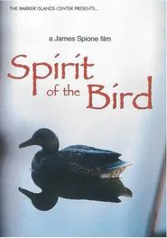 Spirit Of The Bird movie poster