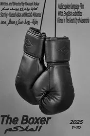 The Boxer movie poster