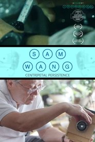 Sam Wang: Centripetal Persistence movie poster