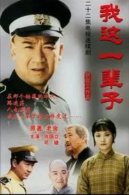 我这一辈子 tv show poster