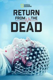Poster do filme Return From the Dead