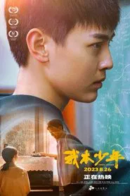 Poster do filme Chinese Teenager