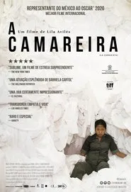 Poster do filme A Camareira