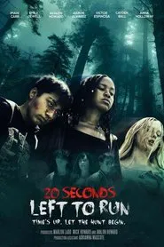 20 Seconds Left to Run movie poster