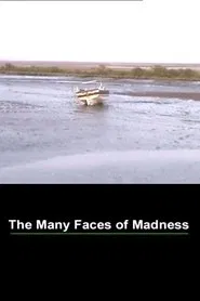 The Many Faces of Madness movie poster