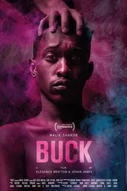 Buck movie poster