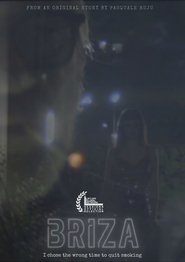 Briza movie poster