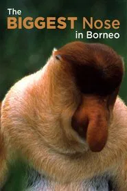 The Biggest Nose in Borneo movie poster