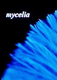 mycelia movie poster