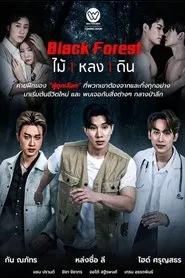 Black Forest tv show poster