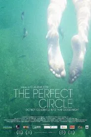 The Perfect Circle movie poster