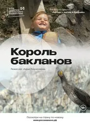 The King of Cormorants movie poster