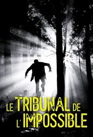 Le Tribunal de l'impossible tv show poster