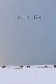 Little Ox movie poster
