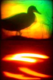 Poster do filme Ya Private Sky