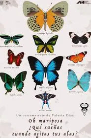 Oh butterfly, what dou you dream of when you flap your wings? movie poster