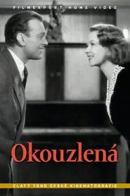 Okouzlená movie poster