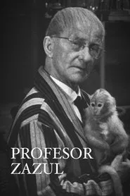 Profesor Zazul movie poster
