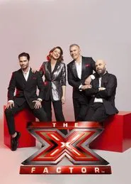 Poster da série The X Factor