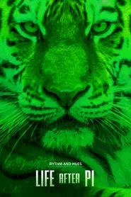 Life After Pi movie poster