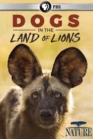Dogs in the Land of Lions movie poster