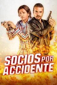 Partners By Accident movie poster