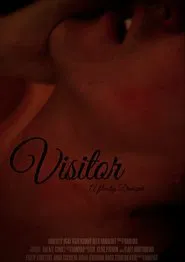 Poster do filme Visitor
