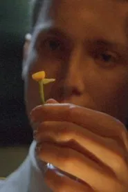 Poster do filme The Man Who Loved Flowers