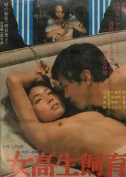 Poster do filme Victimized