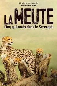 Die fünf Geparde - Gemeinsam durch die Serengeti movie poster