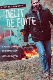 Poster do filme Délit de fuite
