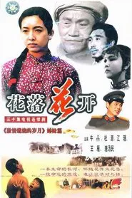 Poster da série 花落花开
