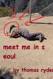 Meet Me In Seoul movie poster