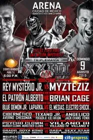 AAA TripleMania XXIII movie poster