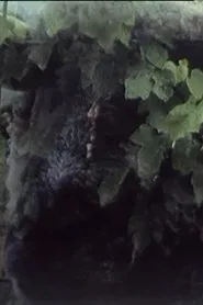 Play 33 movie poster