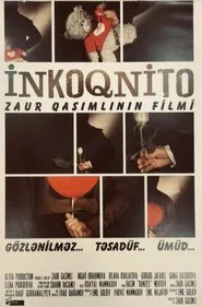 Poster do filme Incognito
