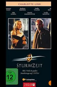 Sturmzeit movie poster
