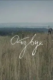 Echo movie poster