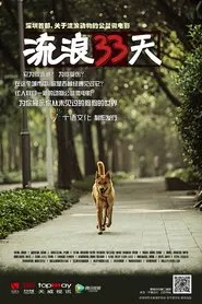 流浪33天 movie poster