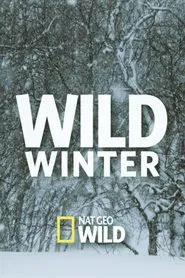 Wild Winter movie poster