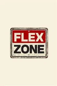 Poster da série FLEX ZONE