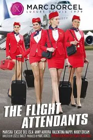The Flight Attendants movie poster