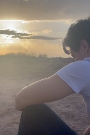 Shock and Meditation movie poster