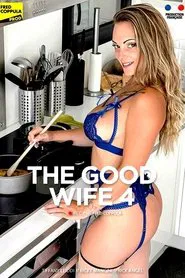Poster do filme The good wife 4