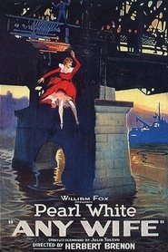 Any Wife movie poster